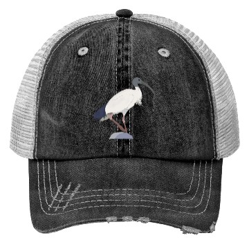 Discover Ibis Bin Bird Trucker Hats