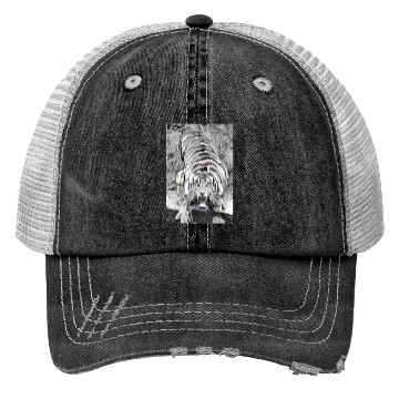 Discover Tiger Draw BW Looking Up Trucker Hats