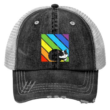 Discover LGBT Supporter Pride Ally Cat Lover Rainbow Pride Trucker Hats