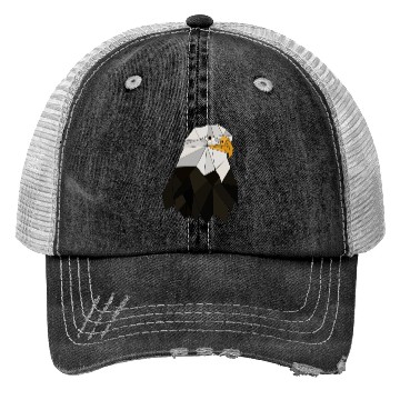 Discover Eagle geometrical Trucker Hats