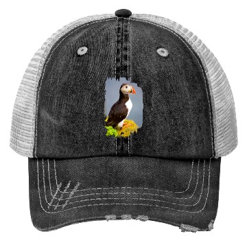 Discover Atlantic Puffin Trucker Hats