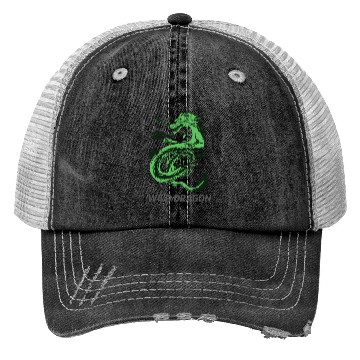 Discover Dragon Trucker Hats