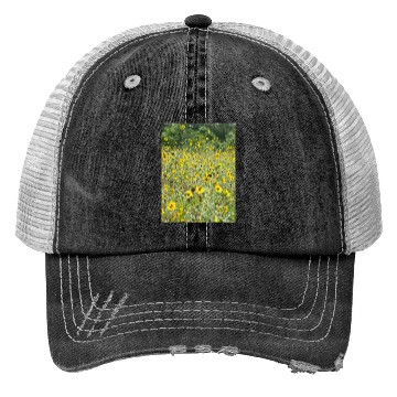 Discover My Photography - Swamp Sunflowers in Texas Trucker Hats