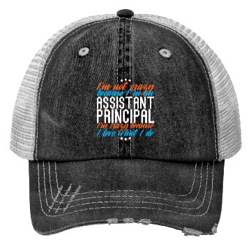 Discover Assistant Principal Trucker Hats