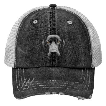 Discover Black Labrador Retriever Trucker Hats