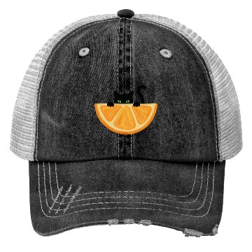 Discover Are You see Me? Black Cat Hiding Behind Orange. Trucker Hats