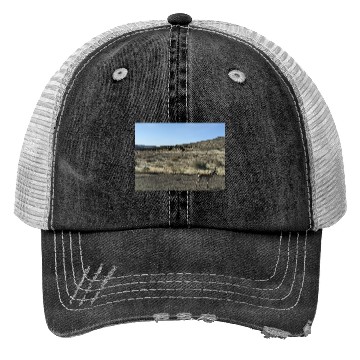 Discover Antelope near Grand Canyon West Trucker Hats