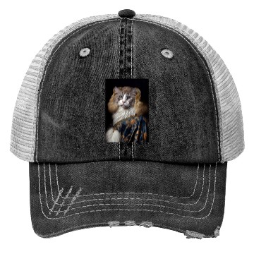 Discover American Curl Princess Cat Breed Portrait Royal Re Trucker Hats