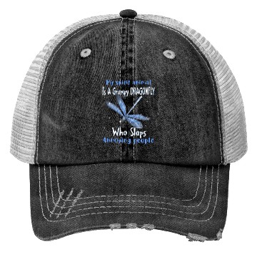Discover My Spirit animal Is A Grumpy Dragonfly Trucker Hats
