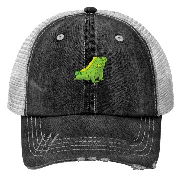 Discover The Iguana Whisperer Gecko Lizard Lover Trucker Hats