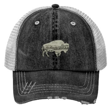 Discover Landscape Buffalo Bison Trucker Hats