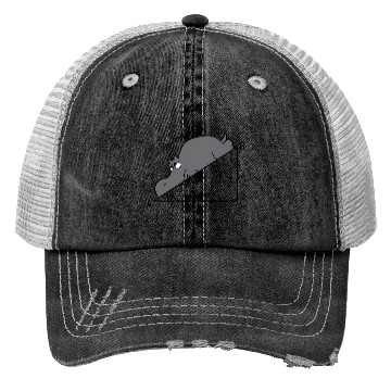 Discover Math Humor Hippotenuse Hypotenuse Trucker Hats