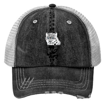 Discover Cheetah Trucker Hats