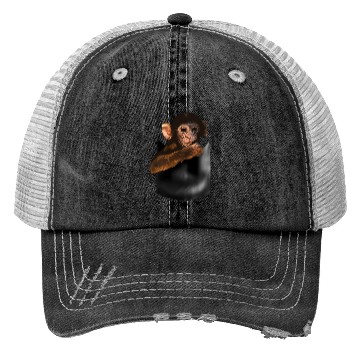 Discover Baby Monkey In Pocket Of Monkey Trucker Hats