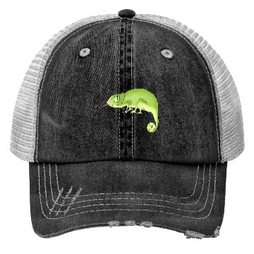 Discover Green Chameleon Trucker Hats