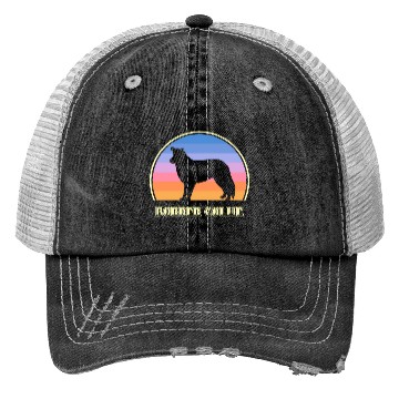Discover Border Collie Sunset Dog Trucker Hats