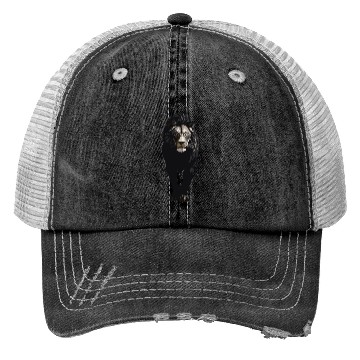 Discover lion Trucker Hats