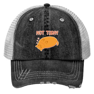Discover Not today Lazy orange cat Trucker Hats