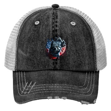 Discover America cat under Moon with American Flag Trucker Hats