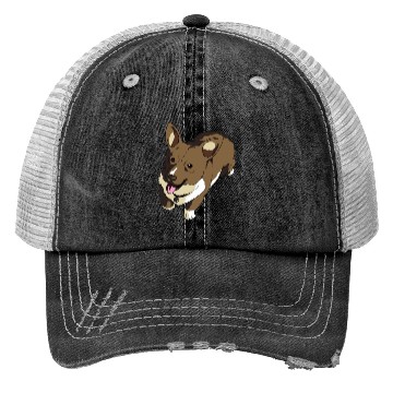 Discover Corgi Dog Trucker Hats