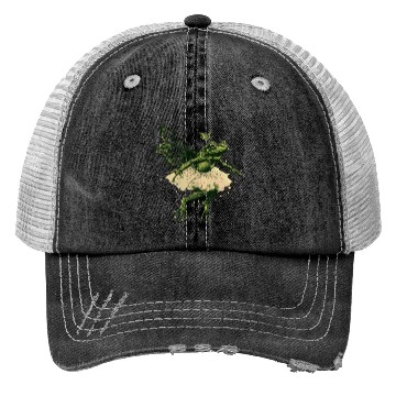 Discover Ballet Frog Fairy Tale Amphibian Fantasy Animal Trucker Hats