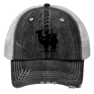 Discover Cuddly Llama With A Chilling Koala On Its Back Trucker Hats