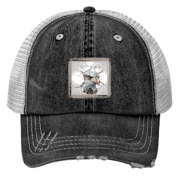Discover Eagle. Trucker Hats