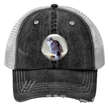 Discover Life In a Bubble Collection-Kitty on the Shelf Trucker Hats