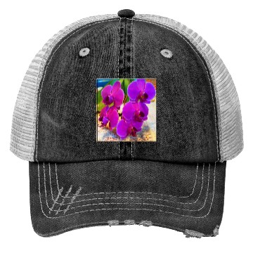 Discover Orchid 2 Trucker Hats