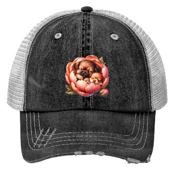 Discover Dogs Sleeping In Flower Trucker Hats