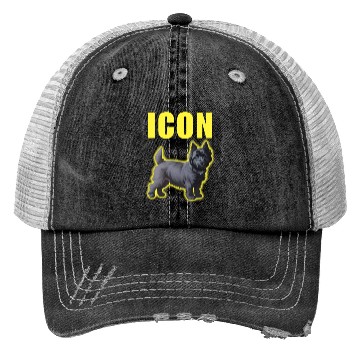 Discover Icon Boy Trucker Hats