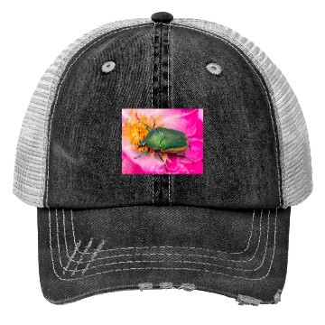 Discover Green Figeater Beetle On Pink Flower Trucker Hats