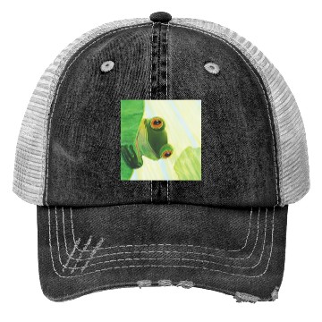 Discover Cute Green Frog Peeping out From Behind Lily Pad Trucker Hats