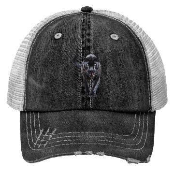 Discover panther walking lovers leopard Trucker Hats