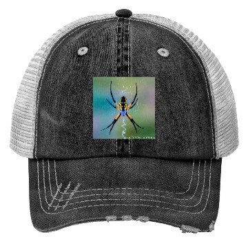 Discover Garden Spider Trucker Hats