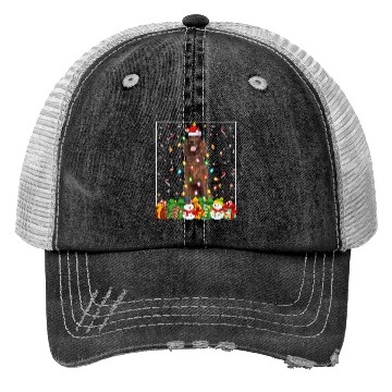 Discover Irish Setter Dog Christmas Lights Trucker Hats