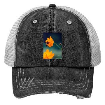 Discover Nature bee Trucker Hats