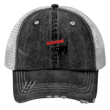 Discover Meow Trucker Hats