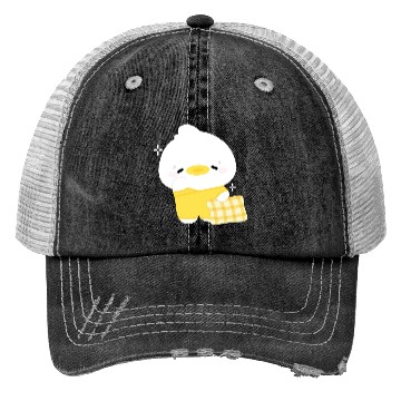 Discover Sleepy Duck Trucker Hats