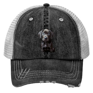 Discover Great Dane Trucker Hats