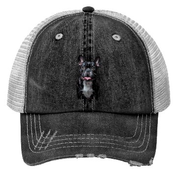 Discover Charming French Bulldog Portrait Capturing Joyful Trucker Hats