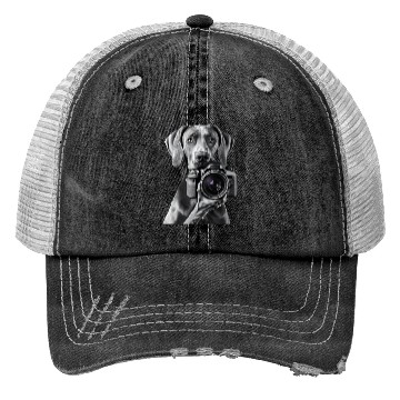 Discover Great Dane Trucker Hats