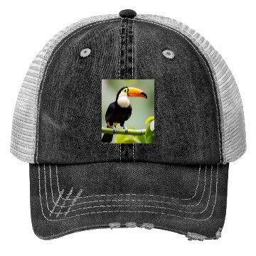 Discover Tropical Toucan Trucker Hats