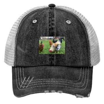 Discover Farmyard Rooster and Chickens Illustration Trucker Hats