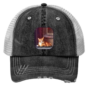 Discover Orange Tabby in Doorway Trucker Hats
