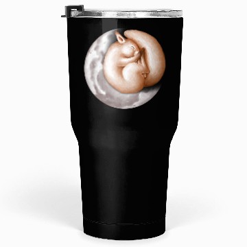 Discover Cute sleeping squirrel on the moon. Tumblers 30 Oz