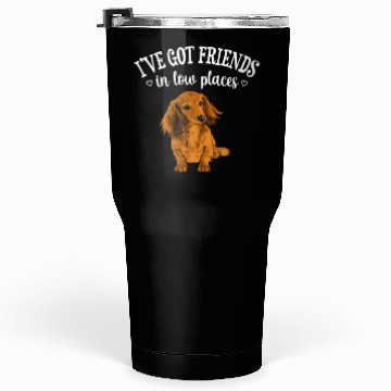 Discover Long Haired Dachshund Tumblers 30 Oz