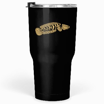 Discover black and gold channa snakehead fish illustrations Tumblers 30 Oz