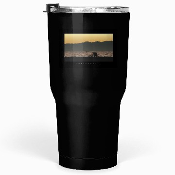 Discover Venice Beach California Sunset Tumblers 30 Oz