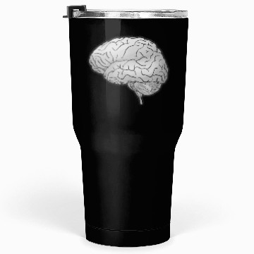 Discover Human Anatomy Brain Tumblers 30 Oz